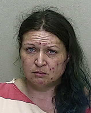 Fort McCoy woman accused of beating man with rowing oar