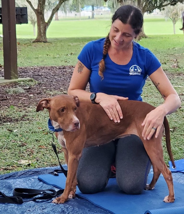 Darian Mosley and K9 Fit Dog Club host dog yoga at Jervey Gantt Park