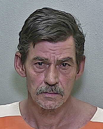 Ocala man charged with shoving protective mother