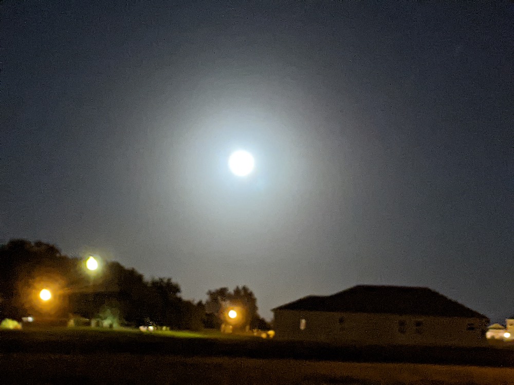 Full Moon On Halloween In SE Ocala