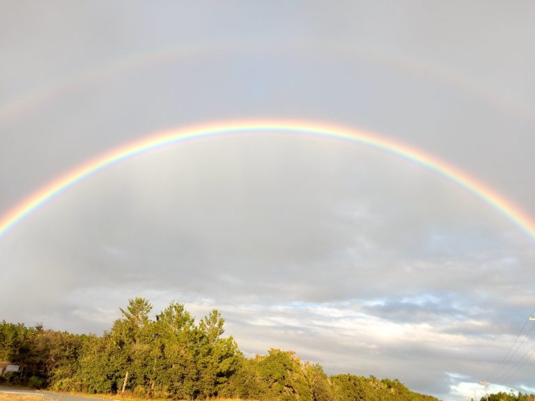 Rainbow Off SR 316 In Ocala National Forest