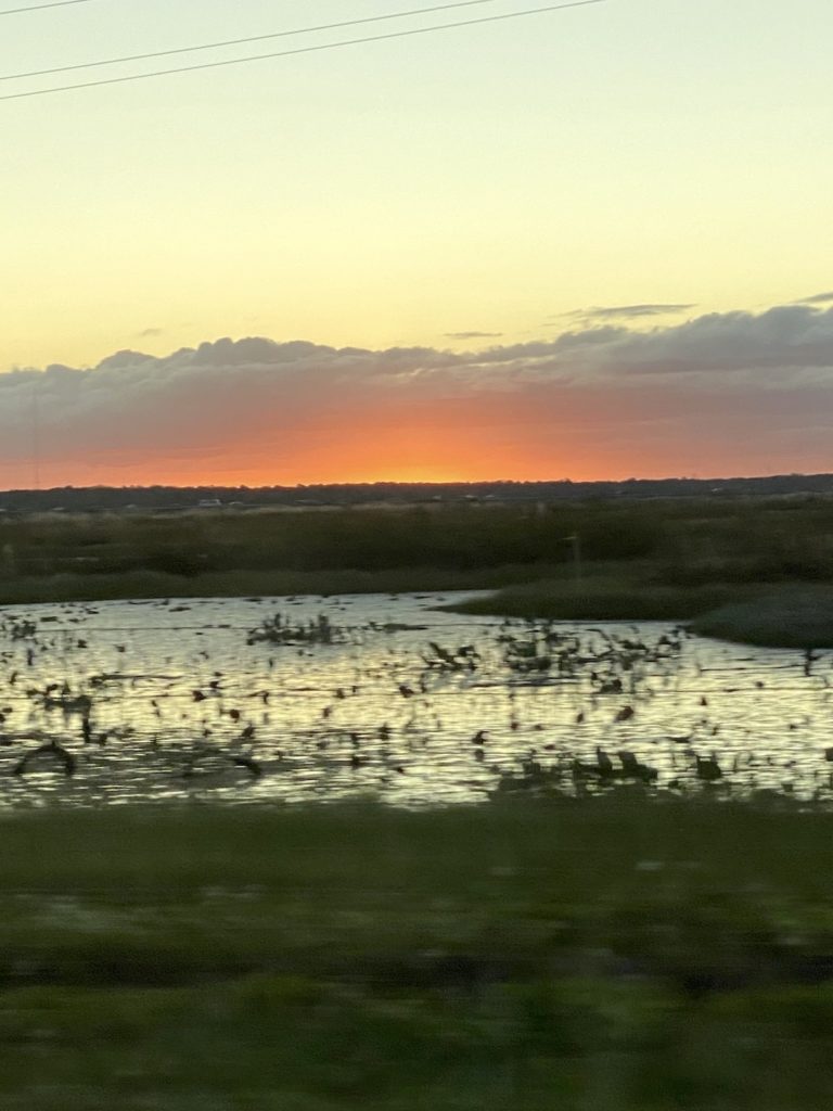 Sunset Over Paynes Prairie Preserve State Park