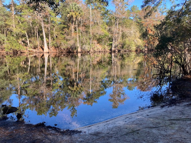 Beautiful Morning With Clear Skies At Withlacoochee State Forest