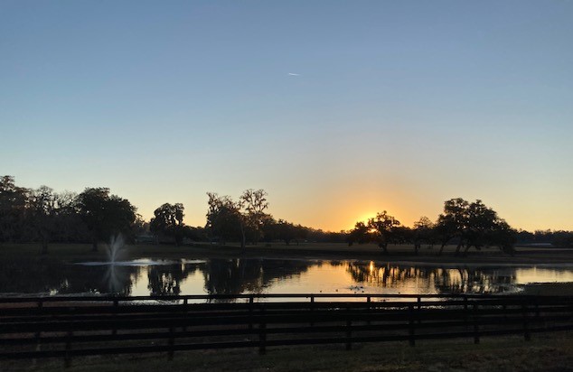 Beautiful Sunrise Over The Pond On Glen Hill Farm In Ocala