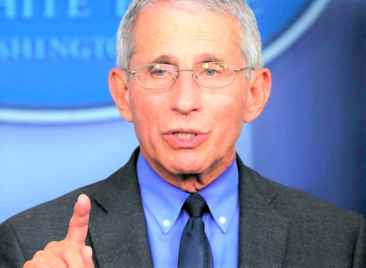 Fauci warns of dark days ahead as COVID-19 continues to hammer Florida
