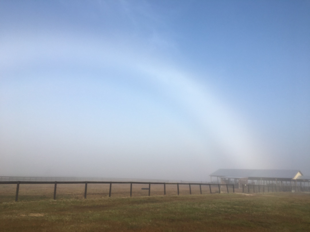 Faint Rainbow Over Farm In Micanopy