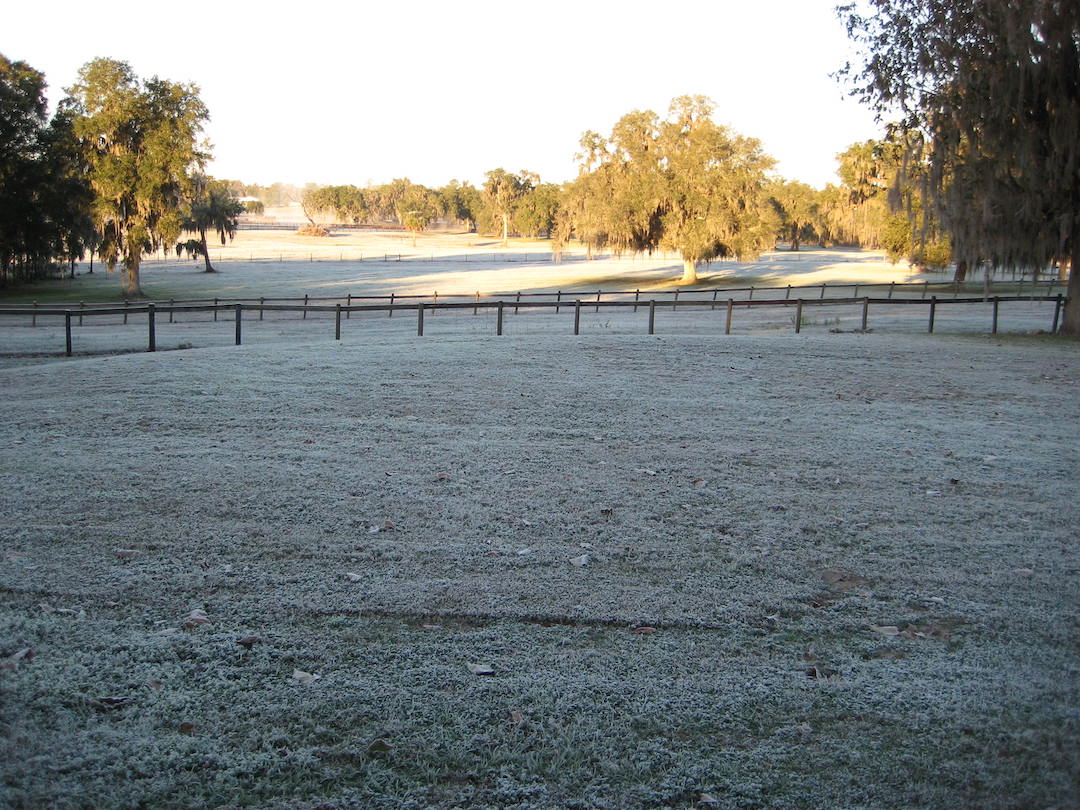 Frosty Morning At Reddick Pastures