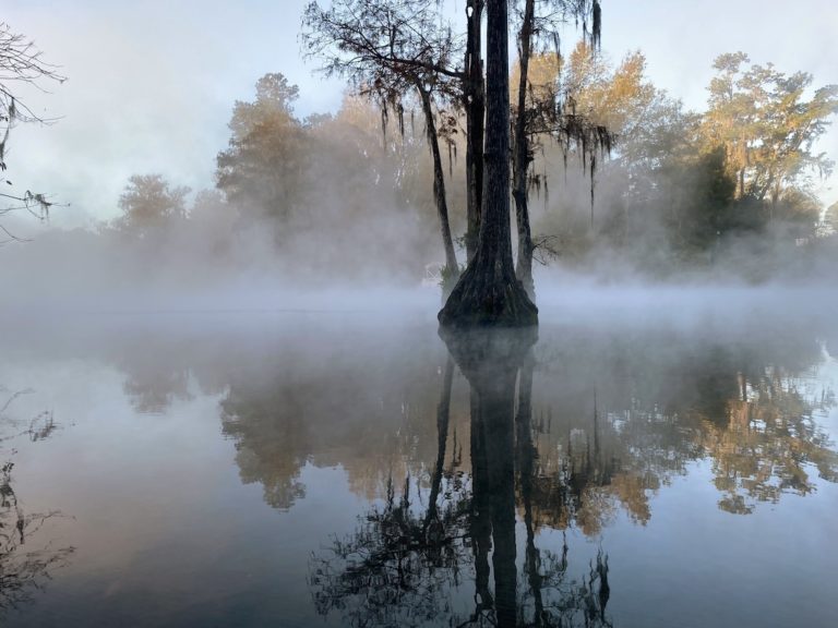 Mist Rising From The Rainbow River In Dunnellon