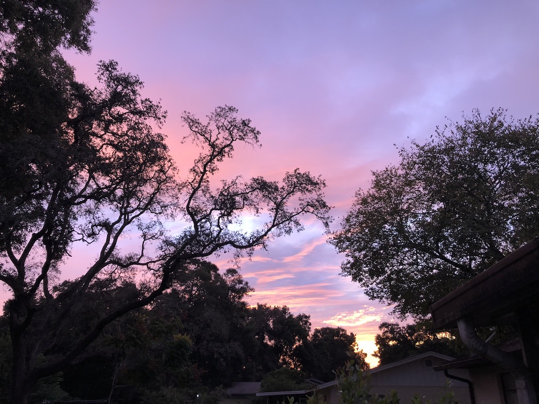 Amazing Sunset In NE Ocala Backyard