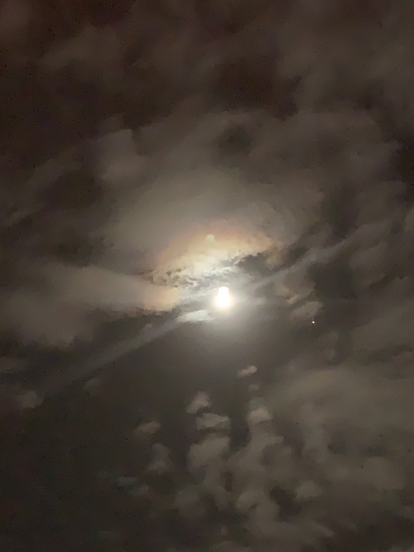 Beautiful Moonlight Over Ocala