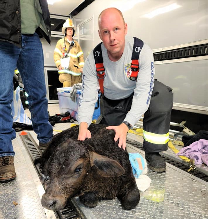Marion County firefighters rescue 1-month-old calf from 25-foot-deep hole