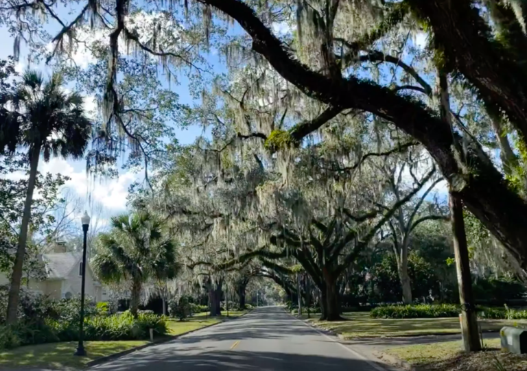 Spanish Moss And Queen Anne Revival Style Houses In Ocala Historic District