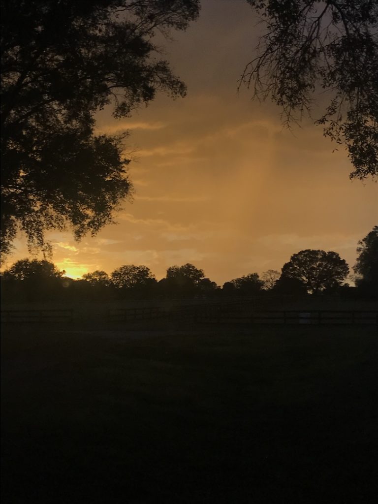 Sunset At Grey Fox Farm In Ocala