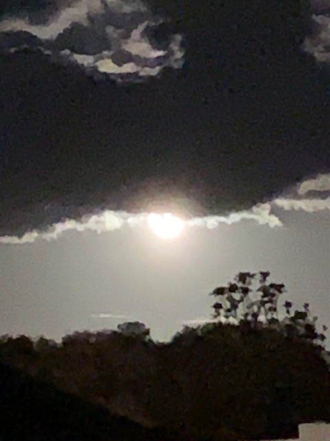 Full Moon With Cloud Cover In Belleview, FL