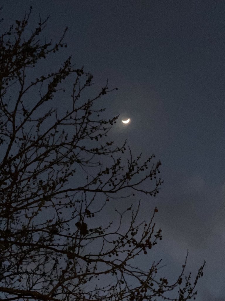 Moon Before The Storm In NE Ocala