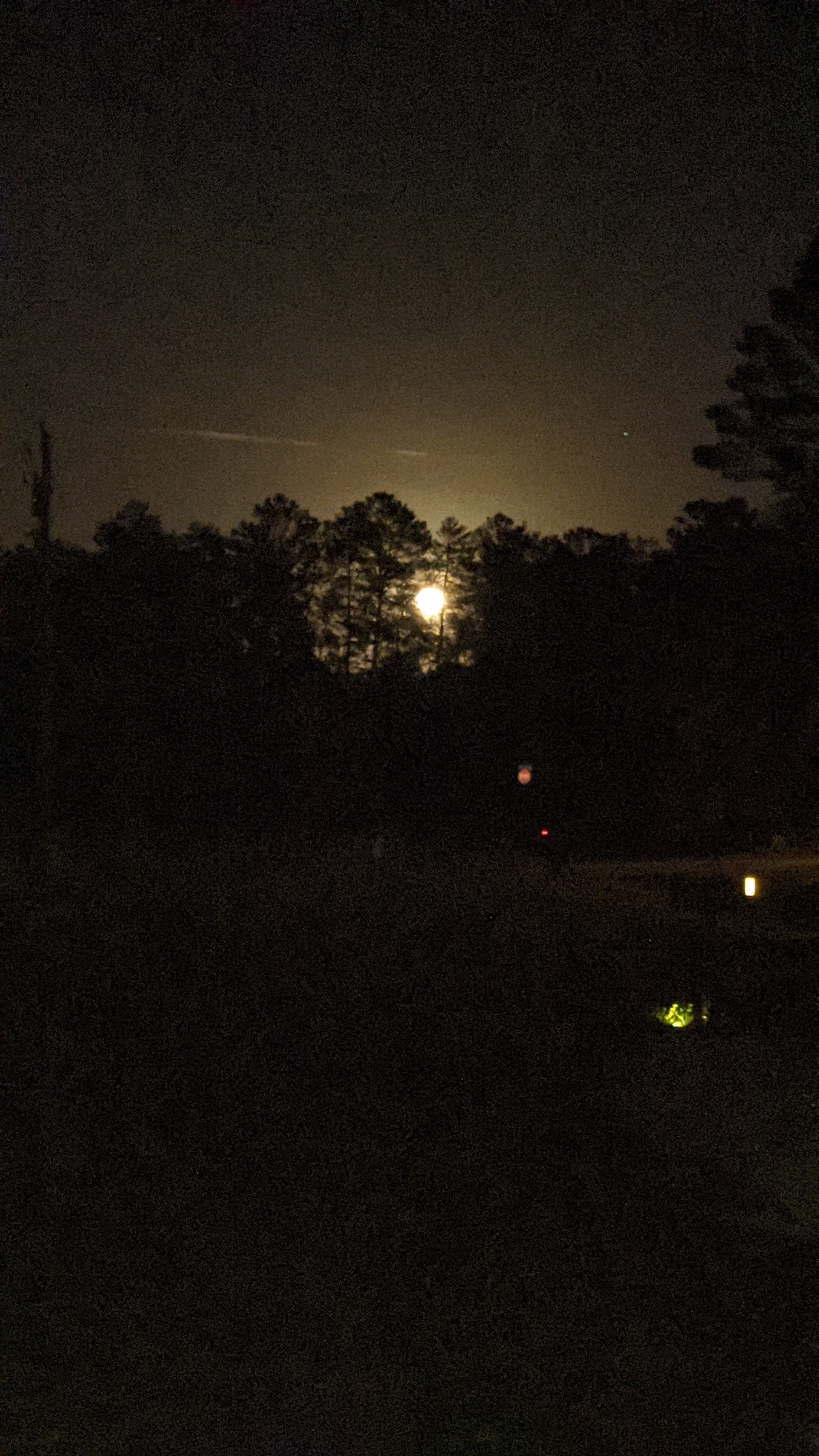 Moon Rising Behind The Mighty Oaks In Marion Oaks