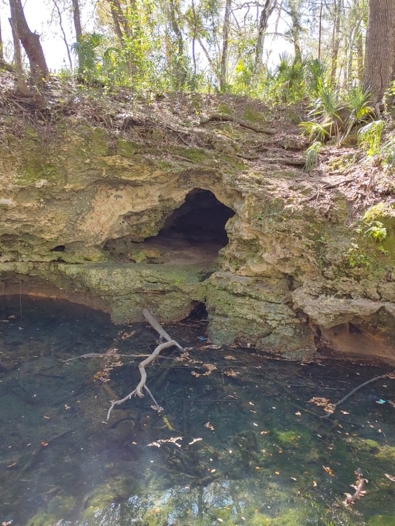The Springs And A Cave In The Sinkhole Of Scott Springs Park In Ocala