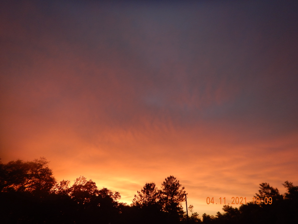 After The Storms In Marion Oaks