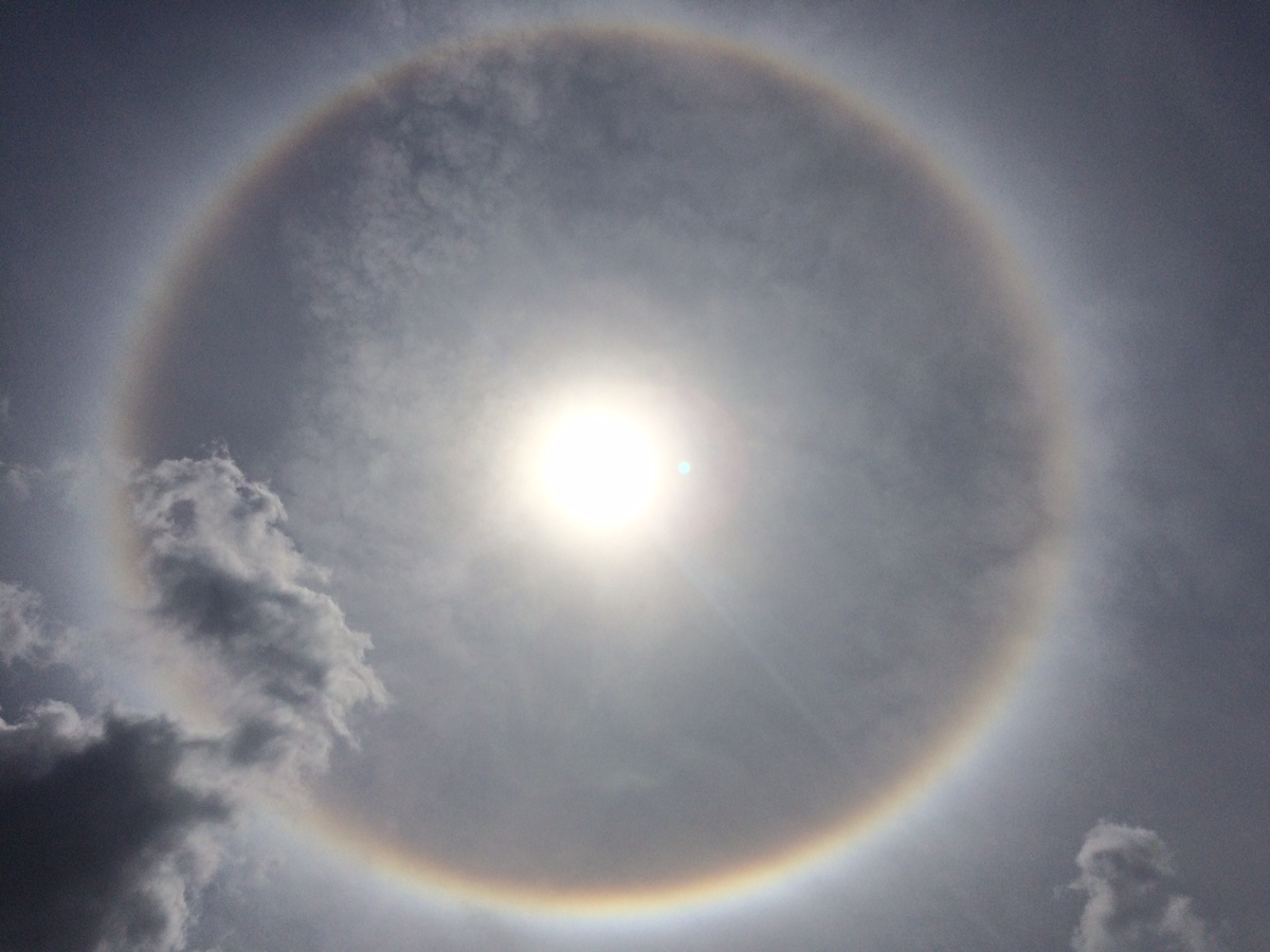 Solar Halo Over Ocala