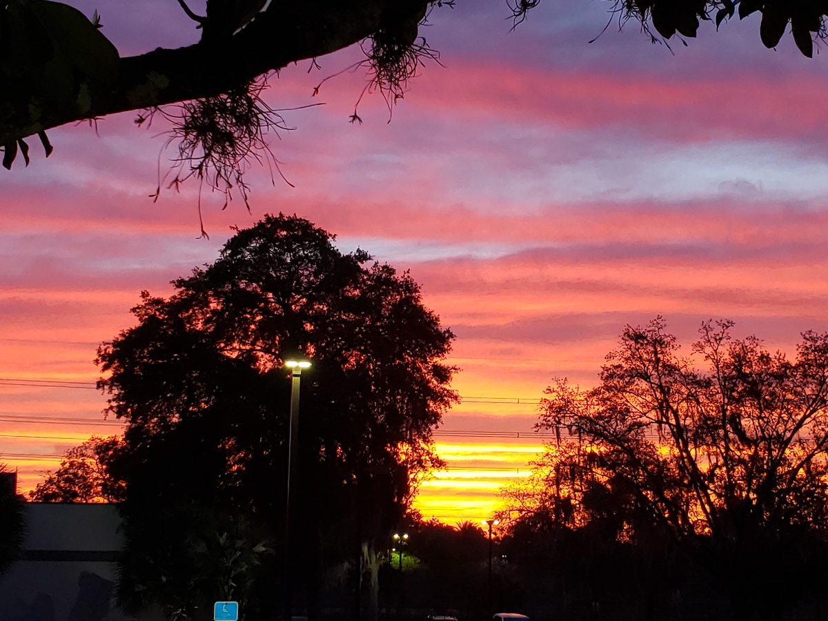 Sunset From Hilton Ocala