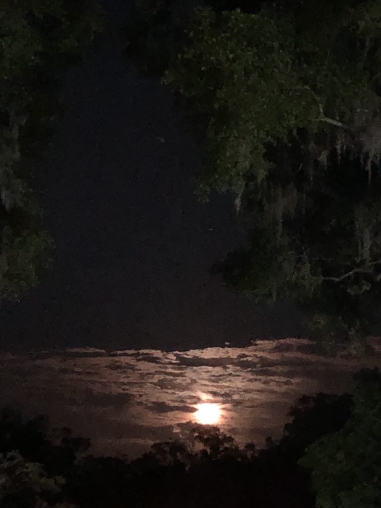 Chasing The Moon In Belleview