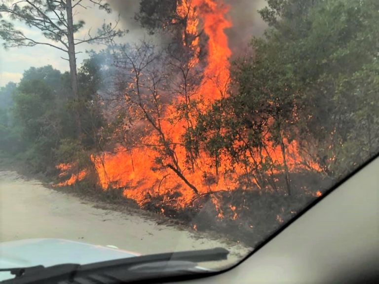 Highlands vegetation blaze 90 percent contained late Friday night