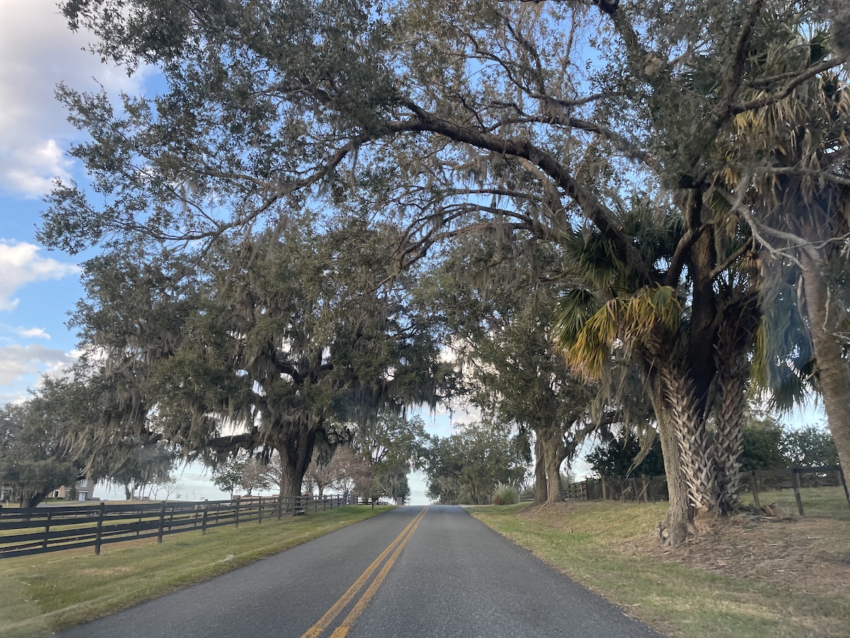 Beautiful Drive Through Horse Country In Ocala