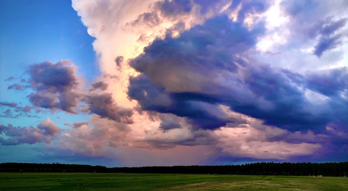 Dazzling Sky Over Ocala National Forest