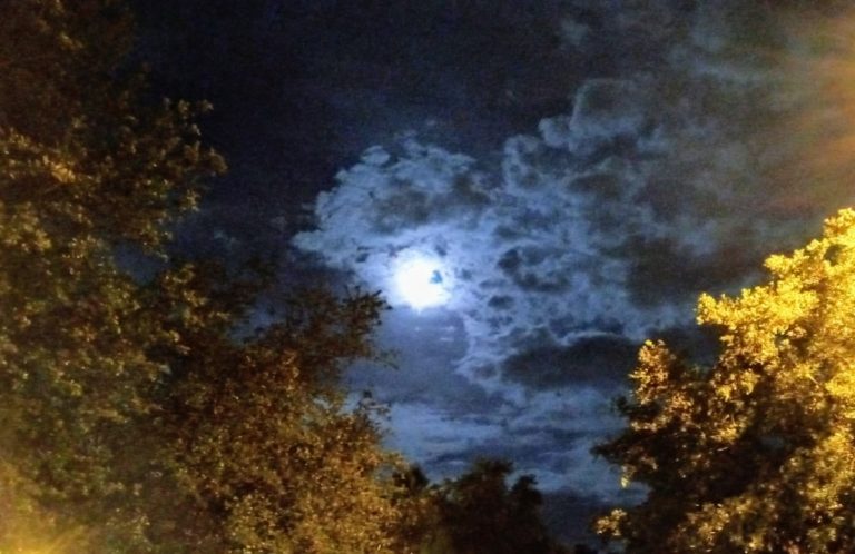 Full Moon Over Highlands At Heathbrook Apartments In Ocala