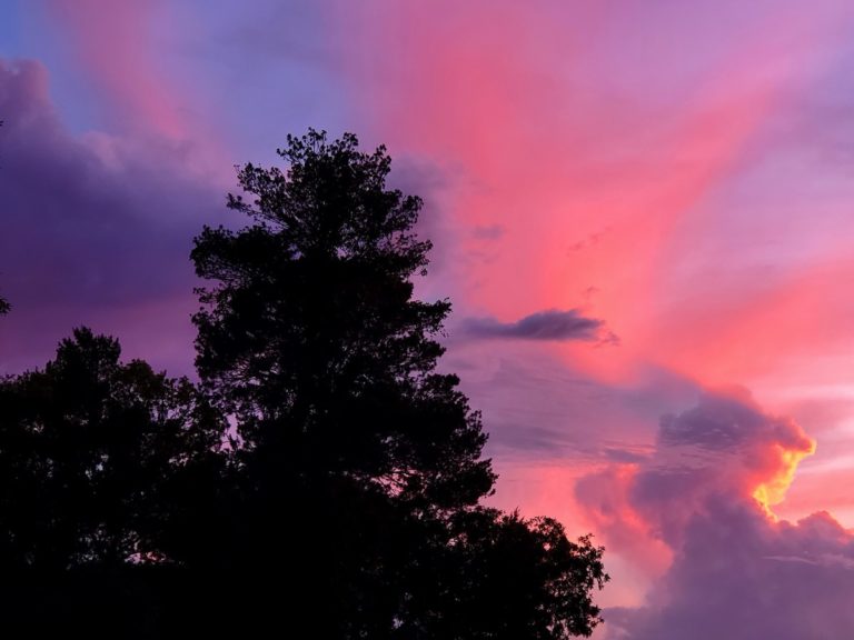 Stunning Sunset Over Marion Oaks