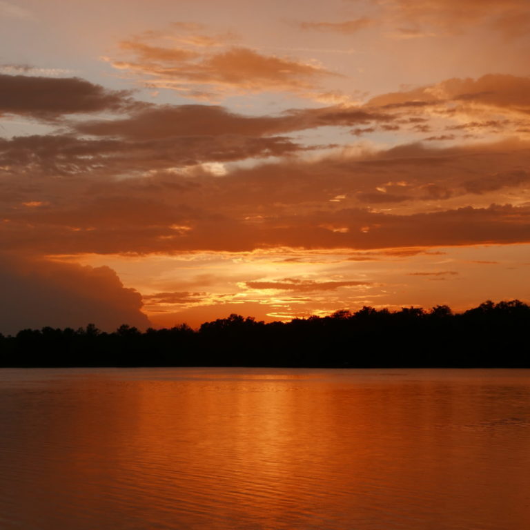 Sunset Over North Lake At Ocala National Forest