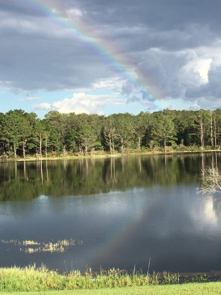 Beautiful Rainbow Over Lake Diamond In Ocala