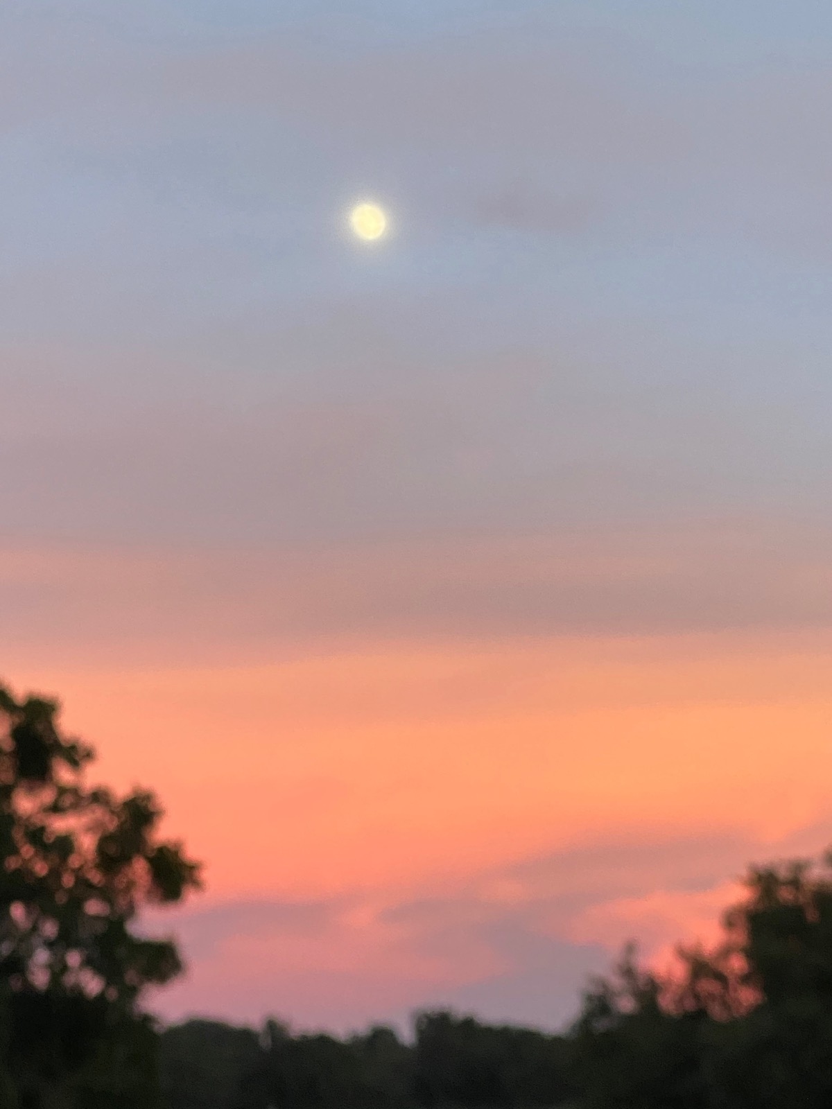 Early Moon Rising Over Southeast Ocala