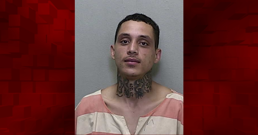 Man crashes into home fence while fleeing the scene William Evans