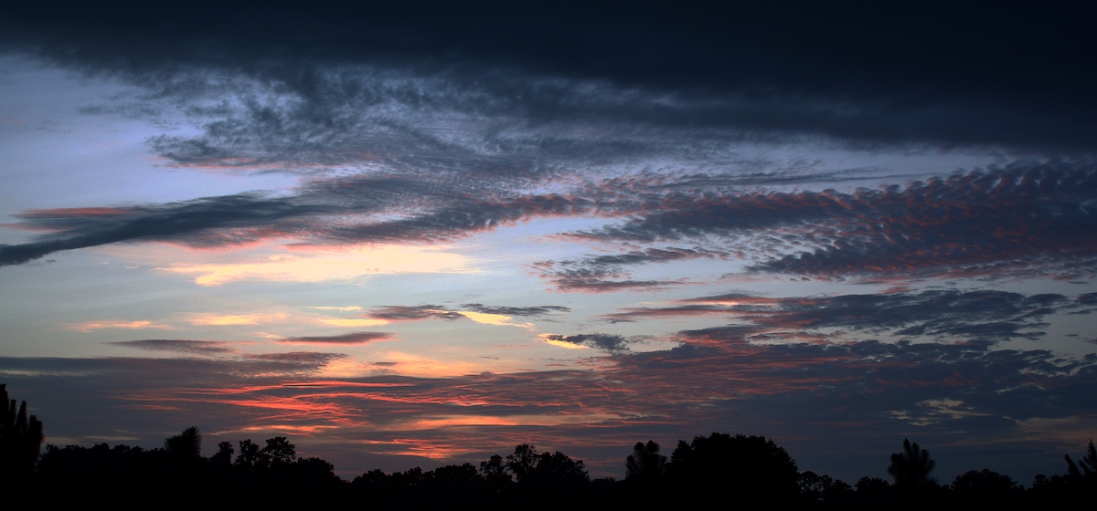 Sunset Over Ocala Preserve