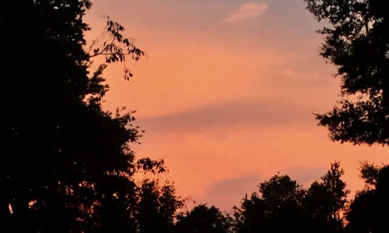 Sunset Over Summerfield Trees
