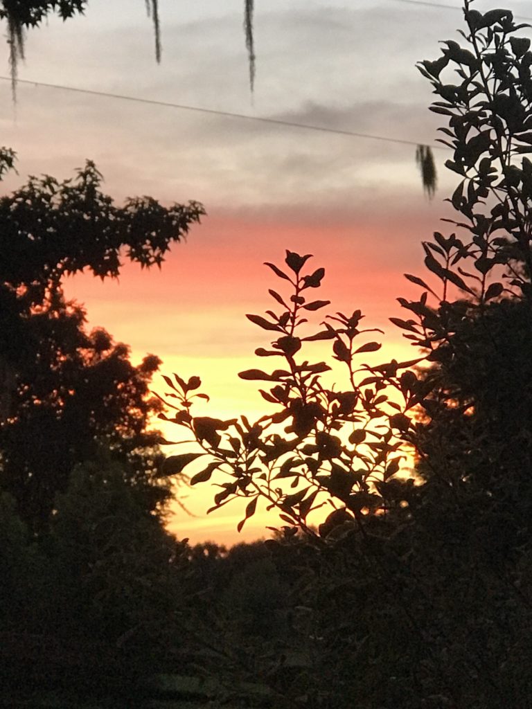 Beautiful Orange Sunset In Ocala