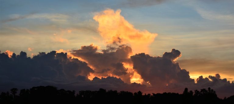 Beautiful Sunset Over Ocala Preserve