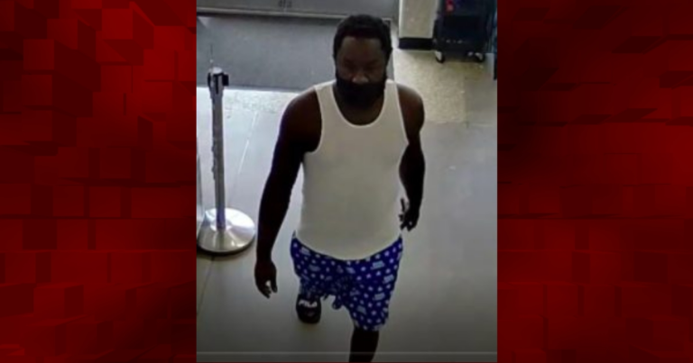 OPD looking for man who exposed himself in public