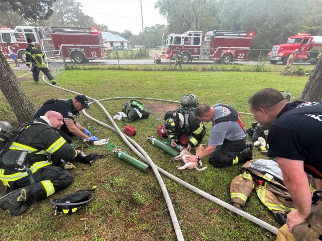 Marion County Fire Rescue saves dogs from burning building