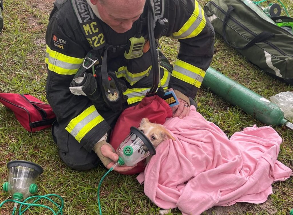 Marion County Fire Rescue saves dogs from burning building 2 Marion County Fire Rescue saves dogs from burning building 2