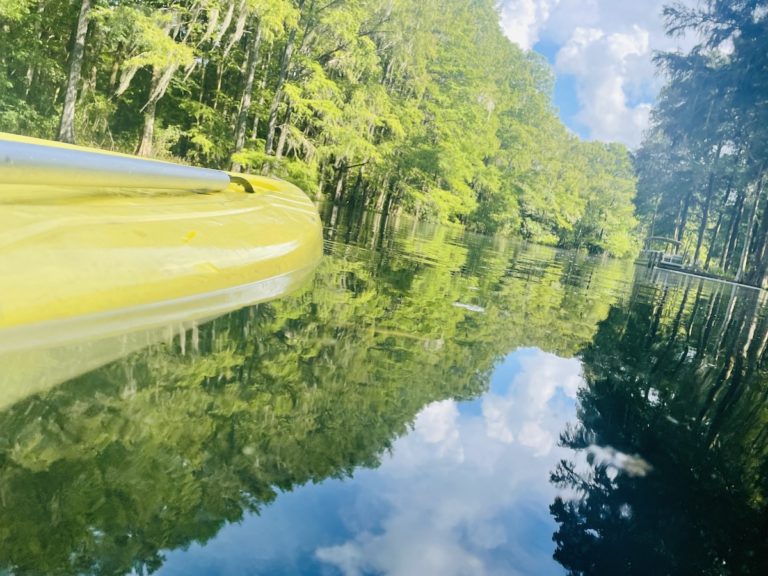 Paddleboarding Down The Rainbow River