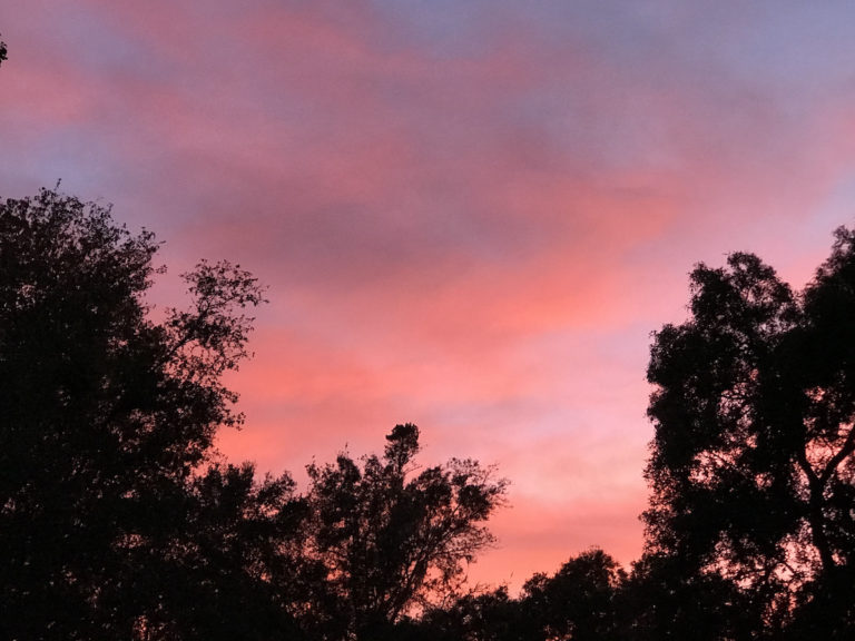 Red Evening Sky Over Northwest Ocala