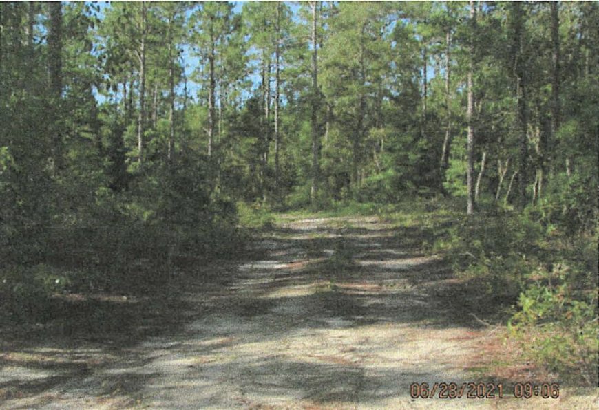Rosmary Mendez property in Dunnellon