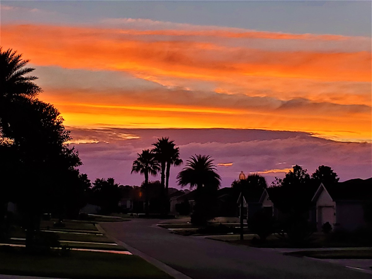 Vibrant Sunrise Over The Ocala Summerglen Community