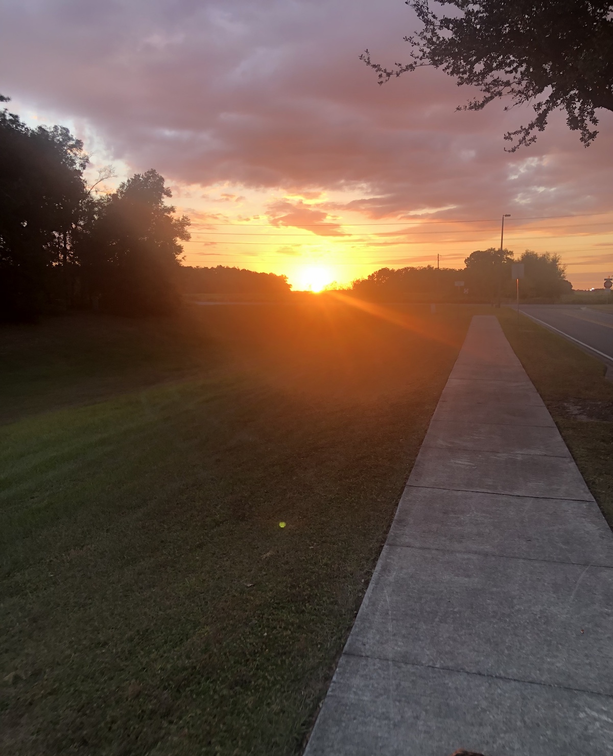 Beautiful Sunset Stroll In Ocala