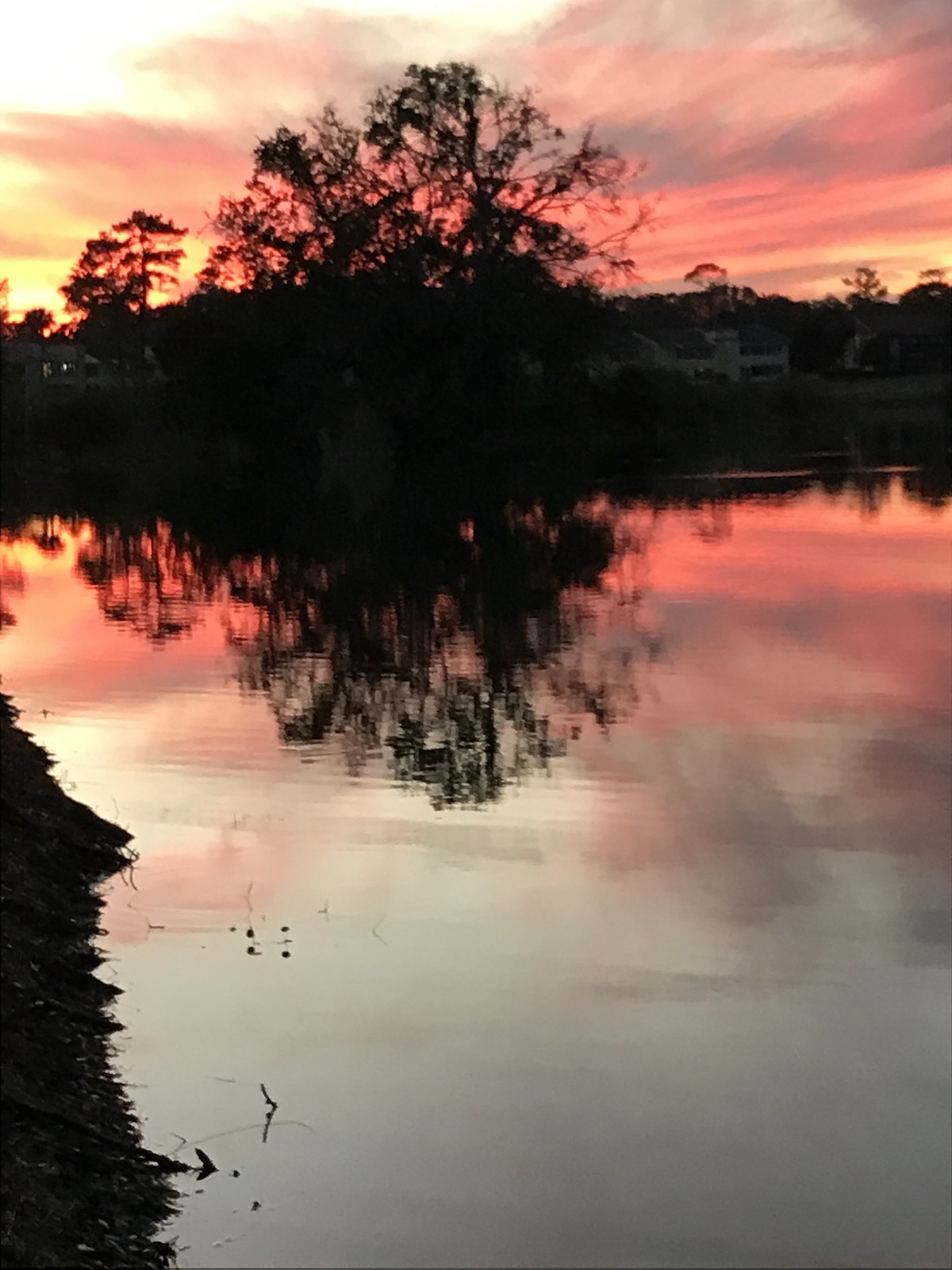 Beautiful Sunset Over Lake In Silver Springs Shores