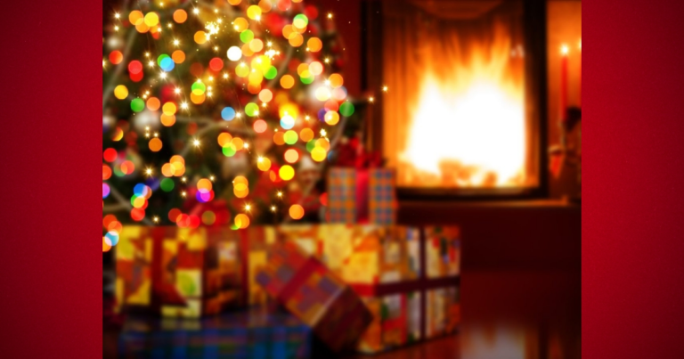 County firefighters offer tips to avoid Christmas tree fires