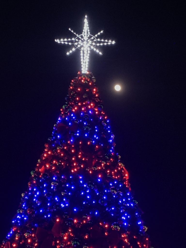 Downtown Ocala Christmas Tree With The Moon