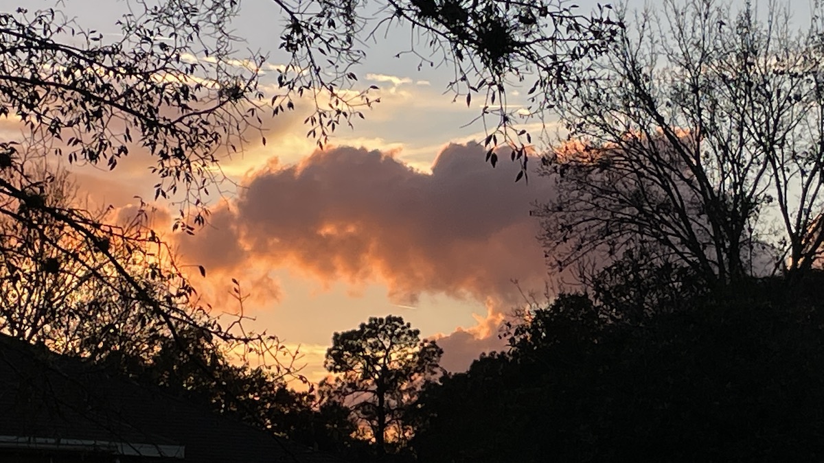 Dramatic Sunset Viewed From The College Of Central Florida